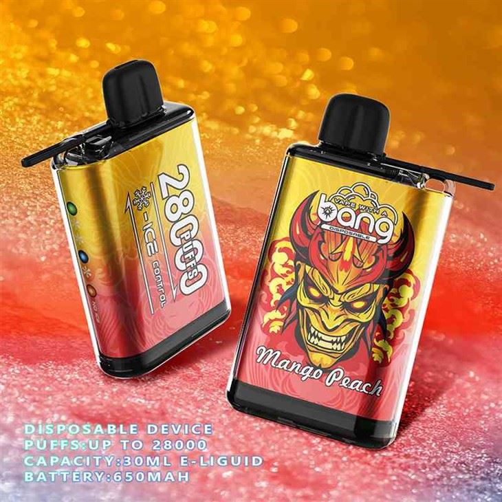 Bang 28000 PUFFS ICE CONTROL