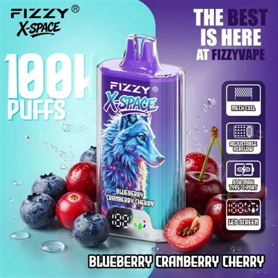 Fizzy 100K X Space: یہ کوئی قابل ذکر چیز نہیں ہے کہ ایک ڈیوائس زیادہ دیر تک چ...