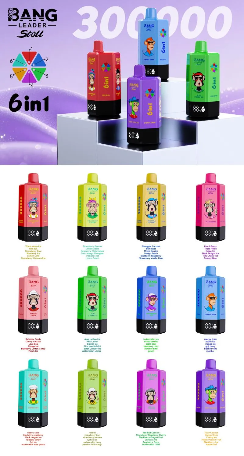 bang leader 300000 31 bang leader 300000 31