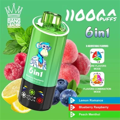 بینگ لیڈر 110K