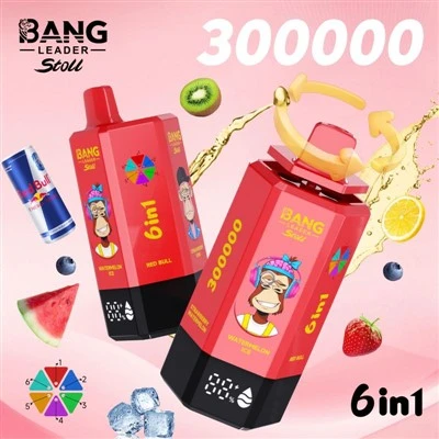 بینگ لیڈر 300000