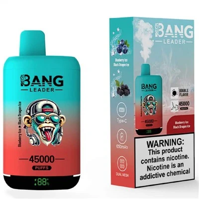 بینگ لیڈر 45000