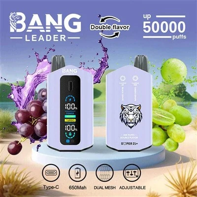 بینگ لیڈر 50000 پفس دوہری ذائقے