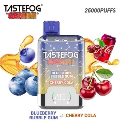 sastefog gemini 25k