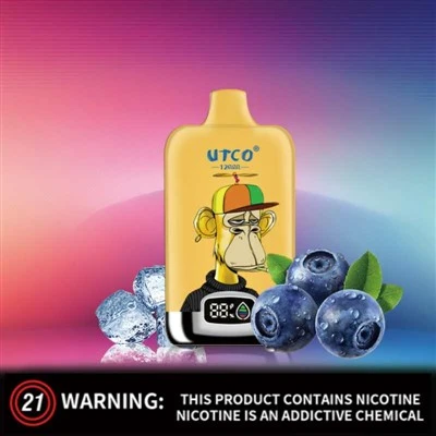 UTCO ڈیجیٹل باکس 12000 پفس واپ